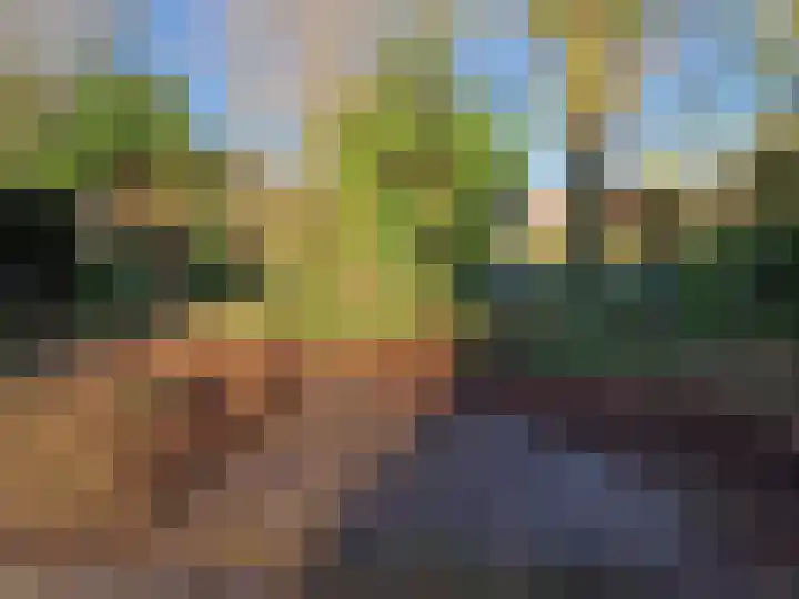Hofstraat 8 Born thumbnail 10