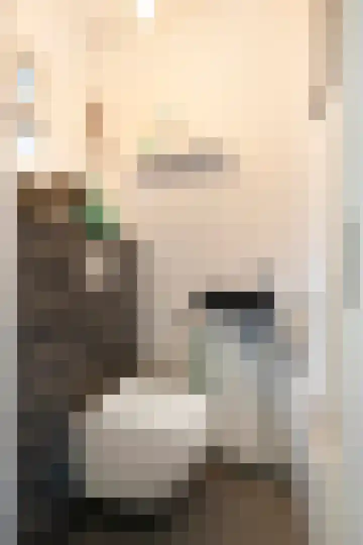 Hofstraat 8 Born thumbnail 10
