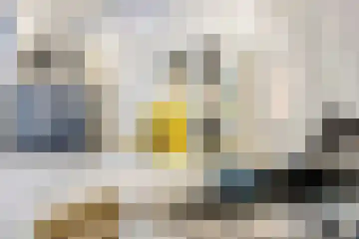Hofstraat 8 Born thumbnail 15