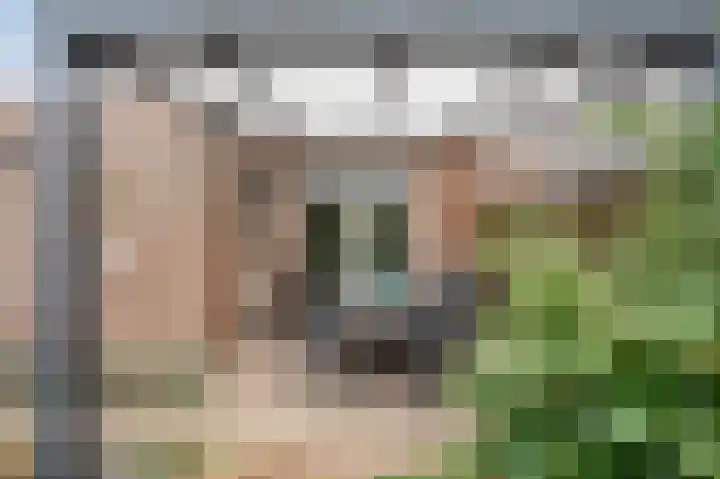 Hofstraat 8 Born thumbnail 21