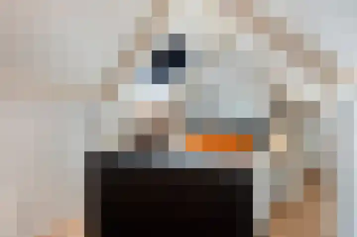 Hofstraat 8 Born thumbnail 35