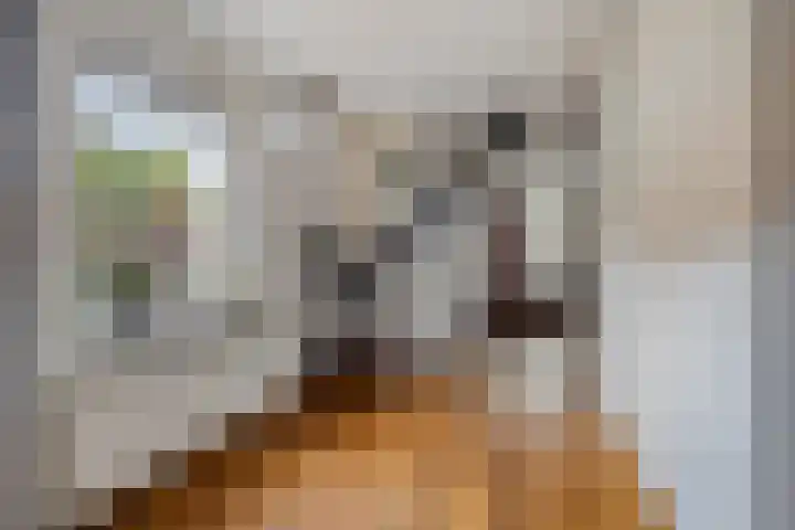 Hofstraat 8 Born thumbnail 39