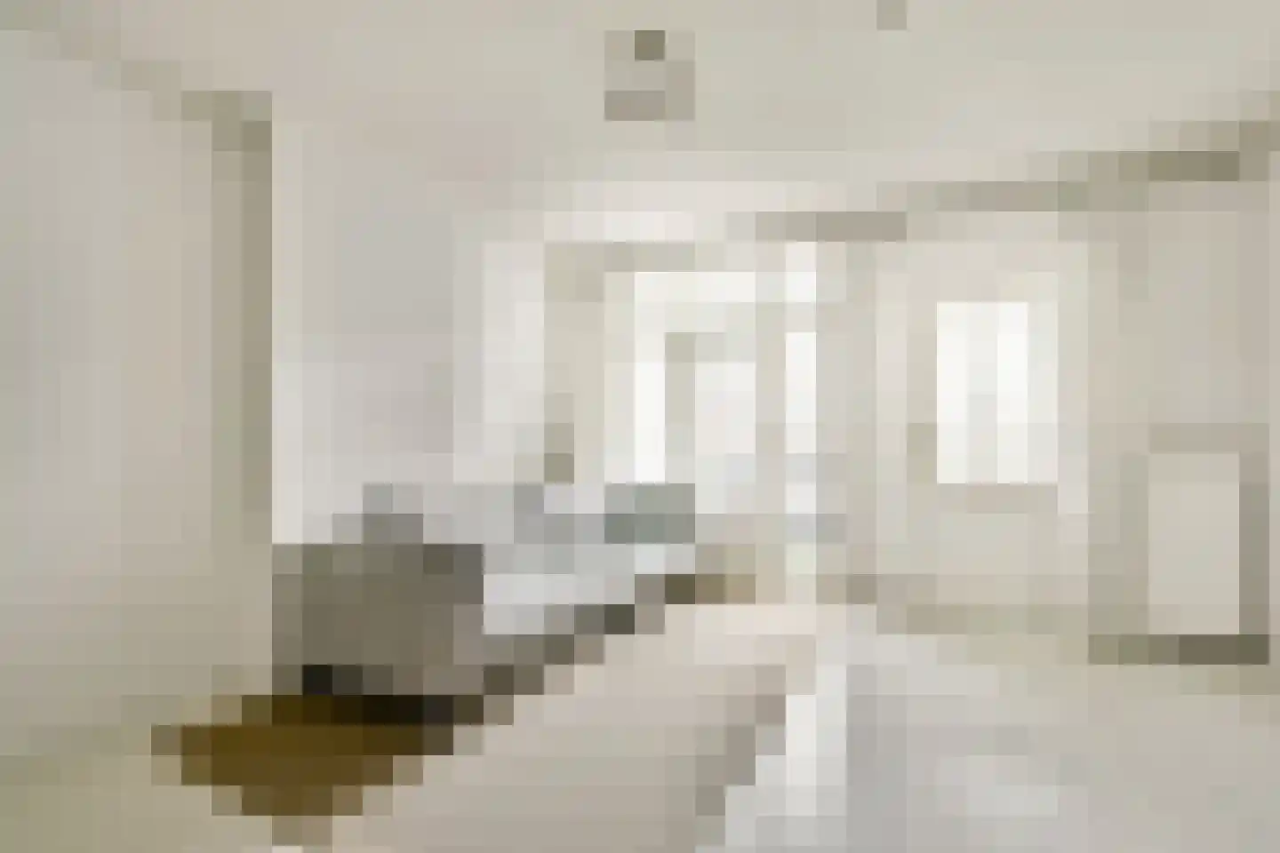 Hofstraat 8 Born thumbnail 4