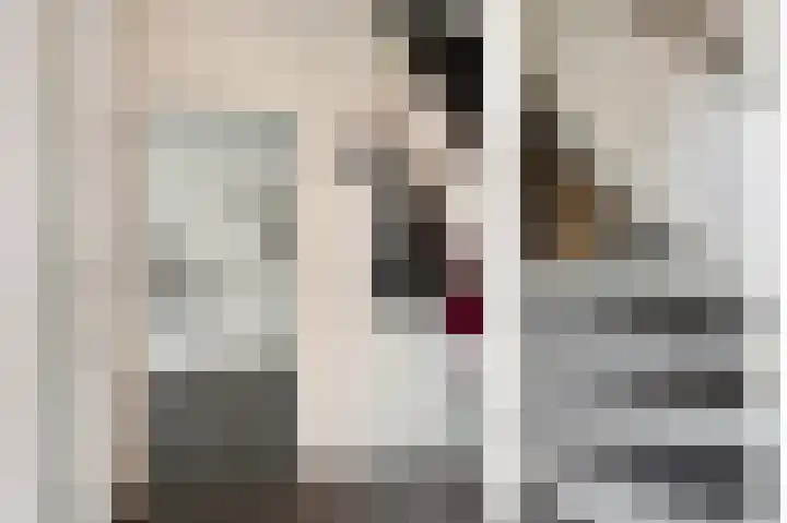 Hofstraat 8 Born thumbnail 9