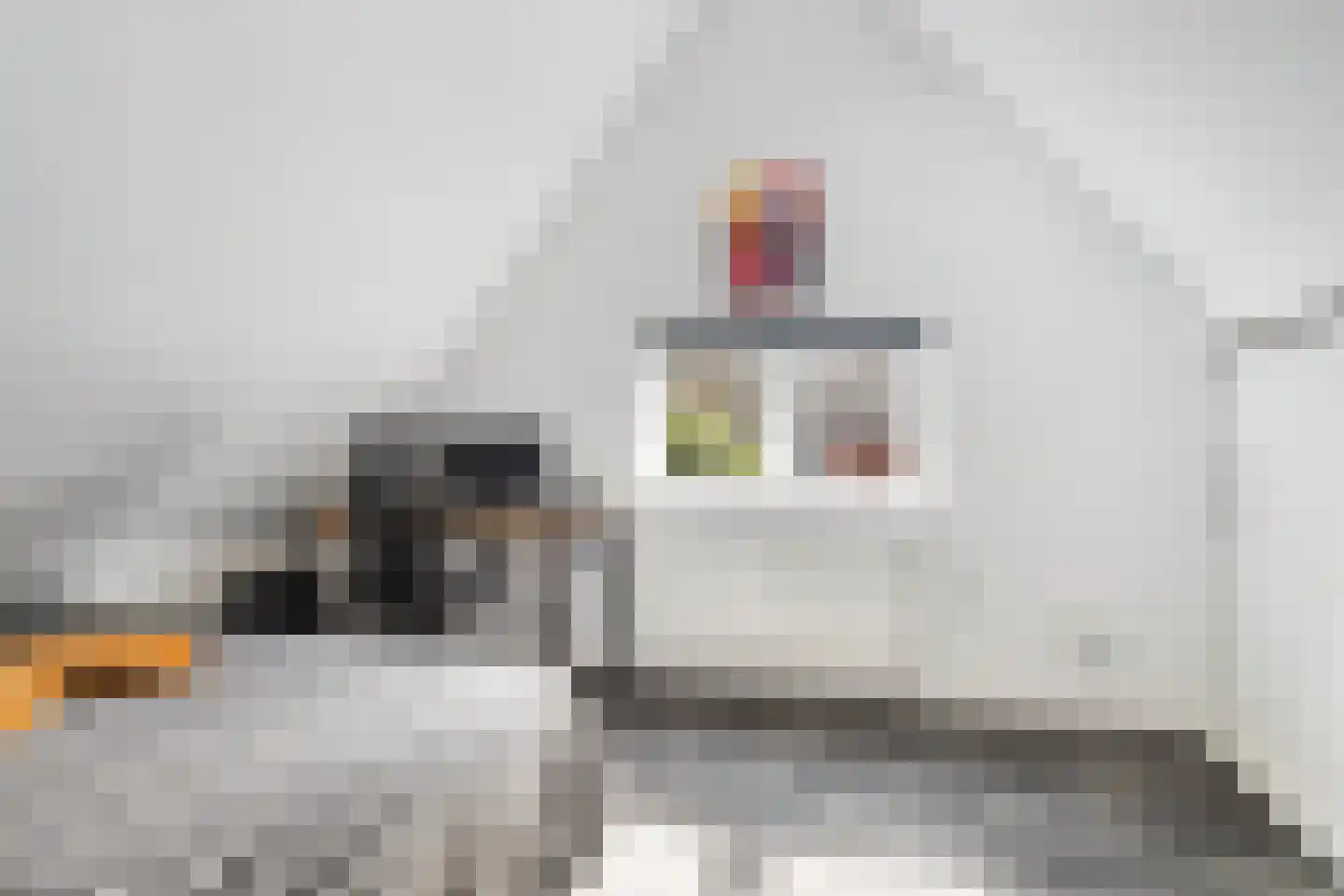 Hofstraat 8 Franeker thumbnail 22