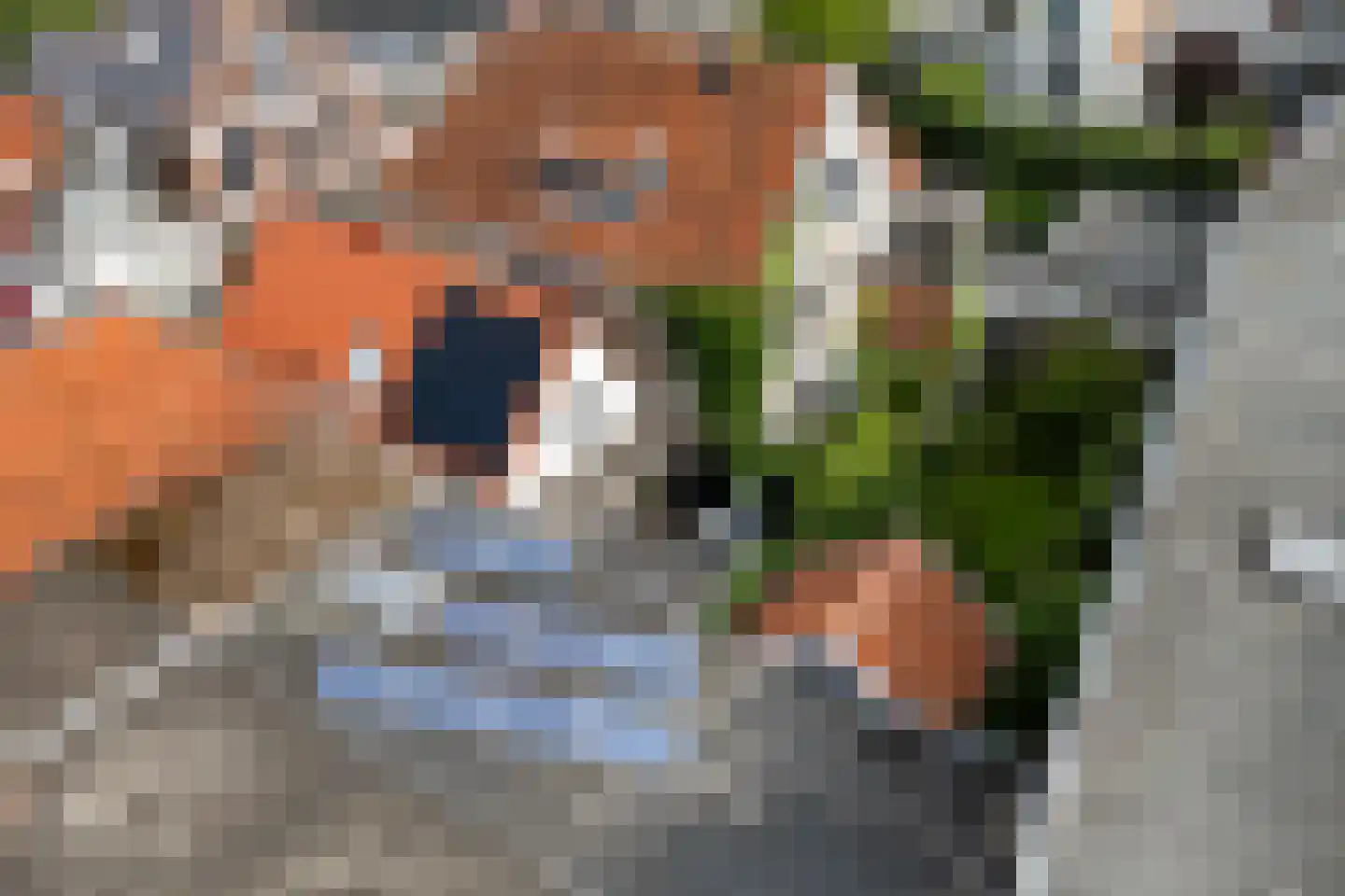 Hofstraat 8 Franeker thumbnail 36
