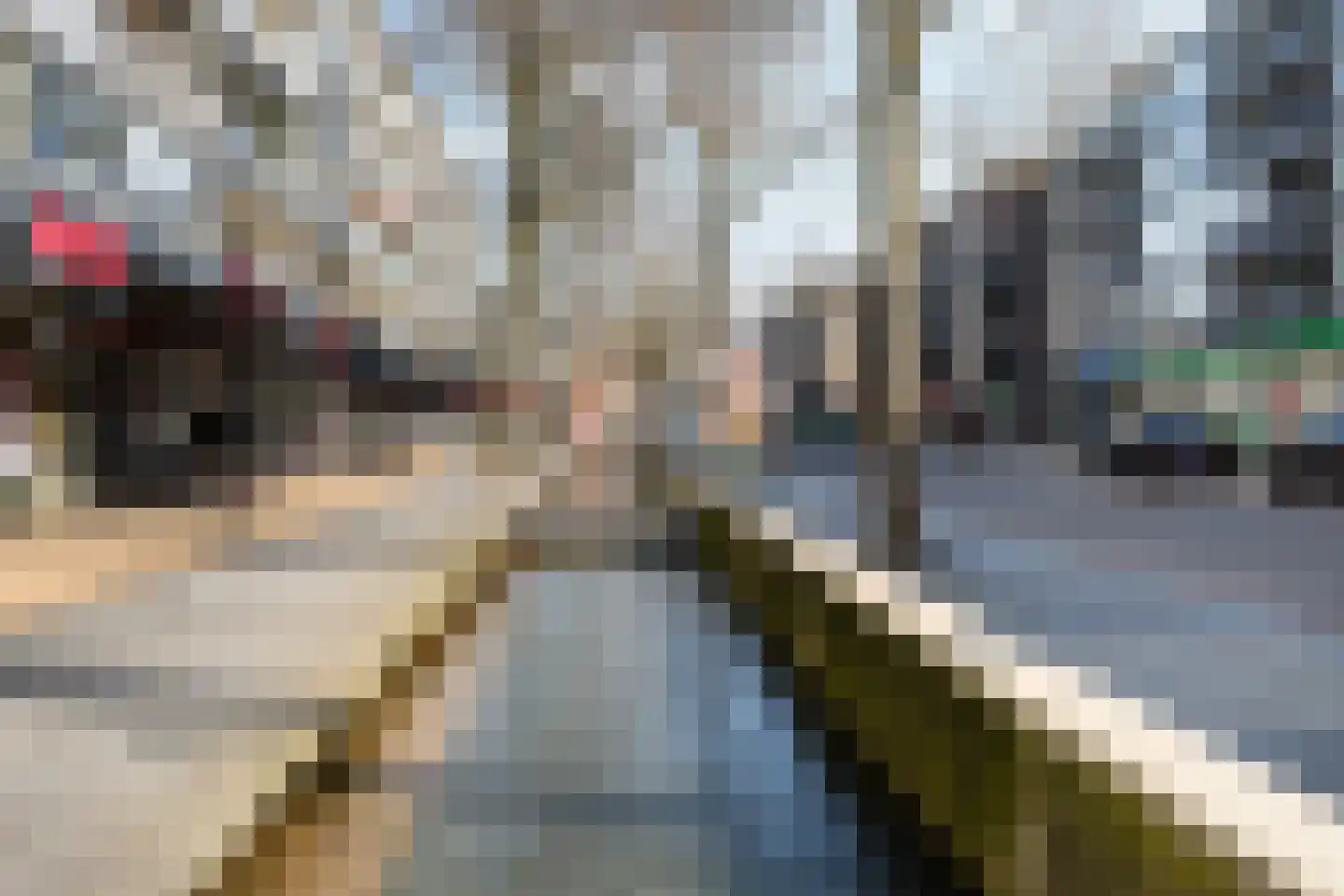 Hofstraat 80 Apeldoorn thumbnail 7
