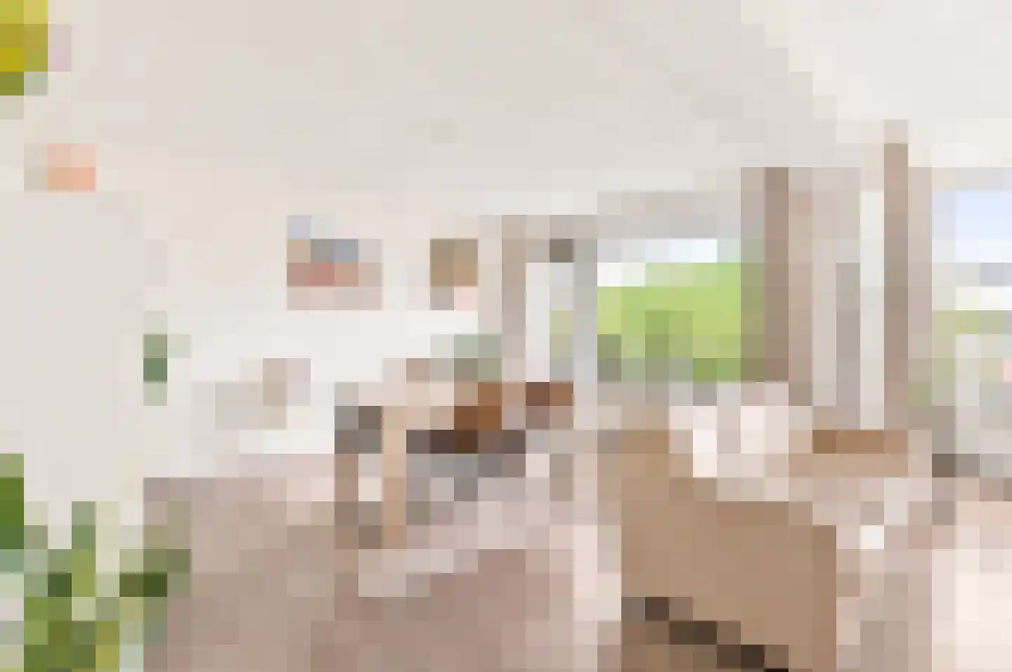 Hofstraat 83 Apeldoorn thumbnail 8