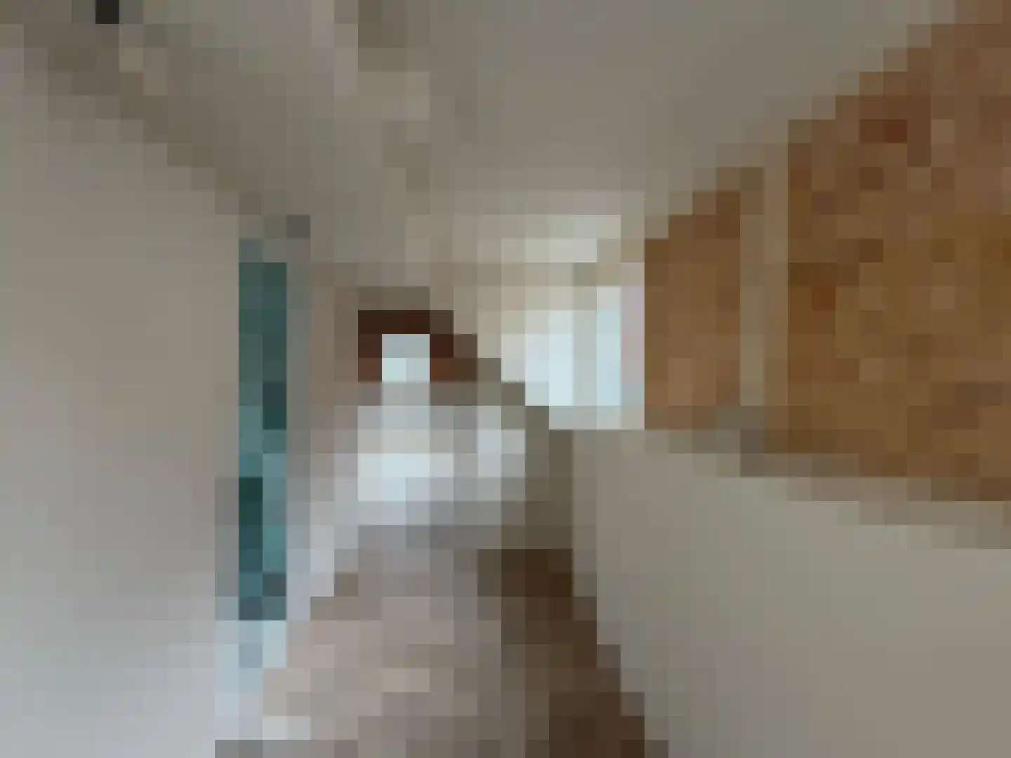 Hofstraat 85 B Kampen thumbnail 8