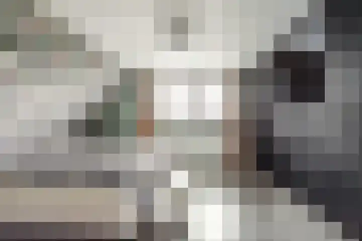Hofstraat 85 Den Oever thumbnail 16