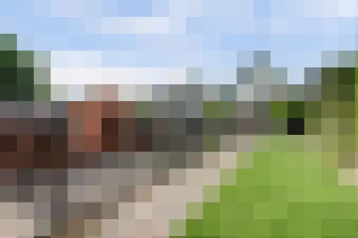 Hofstraat 85 Den Oever thumbnail 33