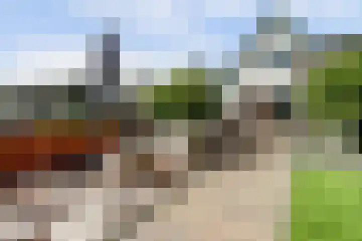 Hofstraat 85 Den Oever thumbnail 35