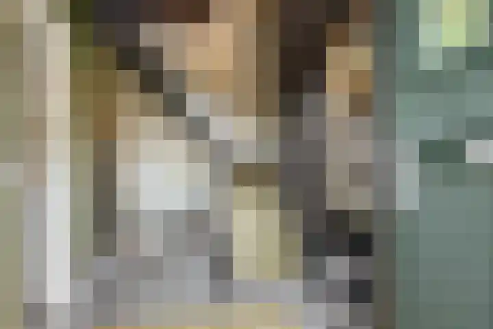 Hofstraat 85 Den Oever thumbnail 6