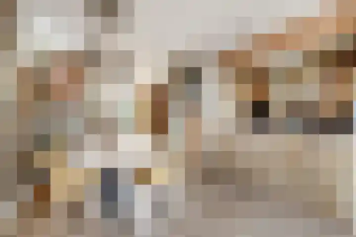 Hofstraat 85 Den Oever thumbnail 8