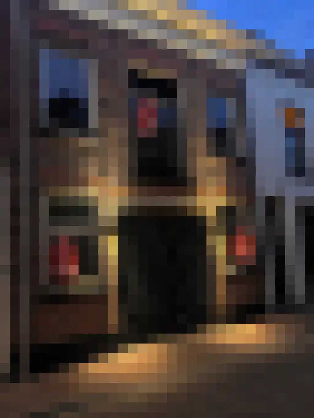 Hofstraat 85 Kampen thumbnail 25
