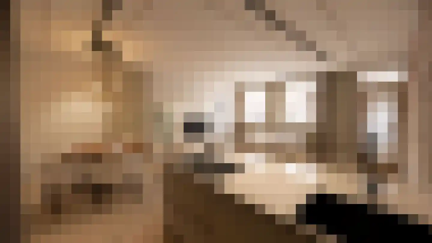 Hofstraat 85 Kampen thumbnail 5