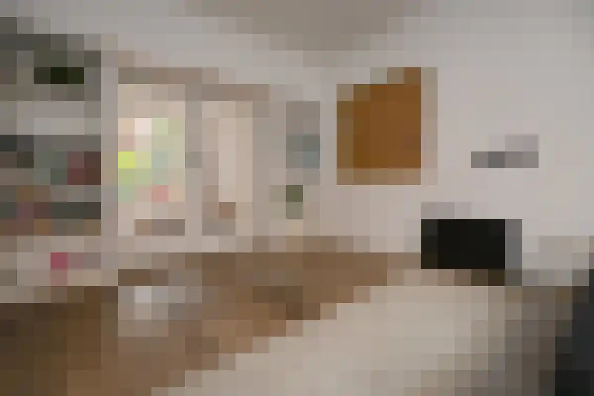Hofstraat 9 1 Groningen thumbnail 4
