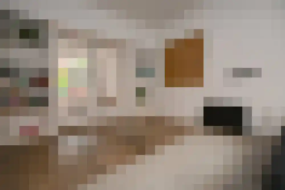 Hofstraat 9 2 Groningen thumbnail 10