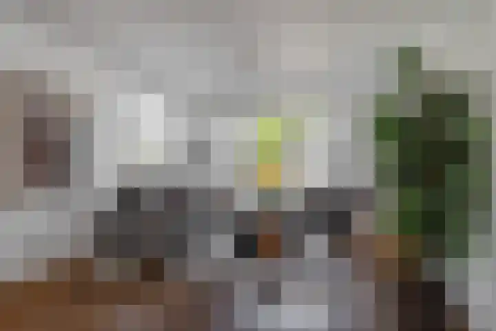 Hofstraat 9 Den Dungen thumbnail 10