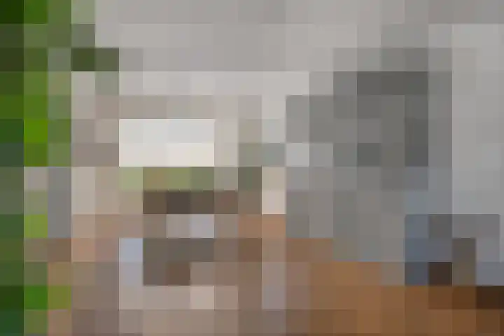 Hofstraat 9 Den Dungen thumbnail 11