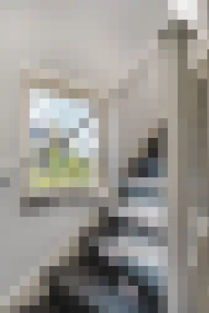 Hofstraat 9 Den Dungen thumbnail 12