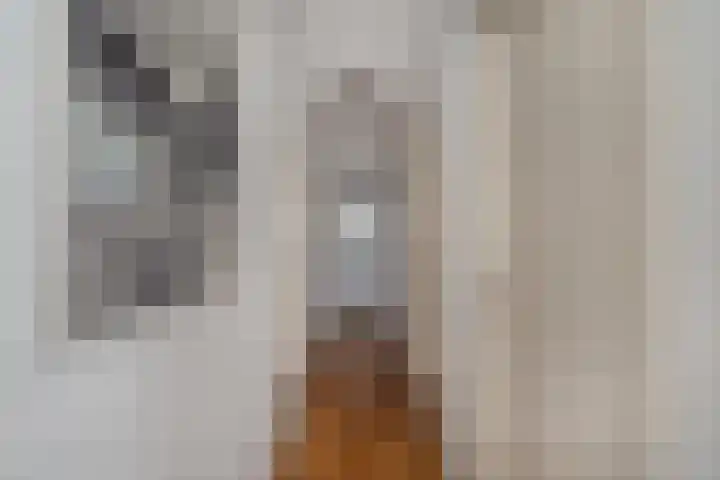Hofstraat 9 Den Dungen thumbnail 13