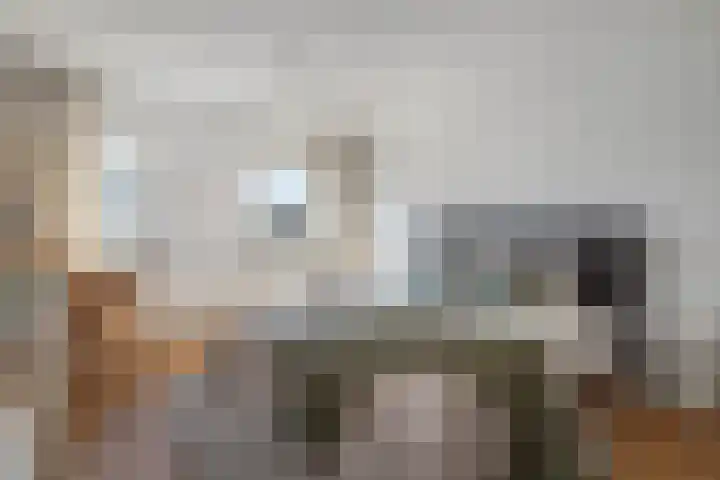 Hofstraat 9 Den Dungen thumbnail 15