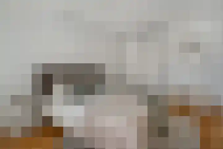 Hofstraat 9 Den Dungen thumbnail 16