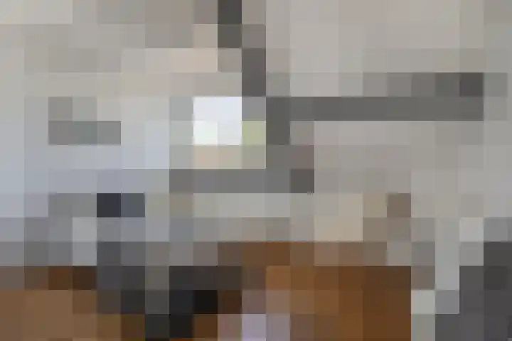 Hofstraat 9 Den Dungen thumbnail 17