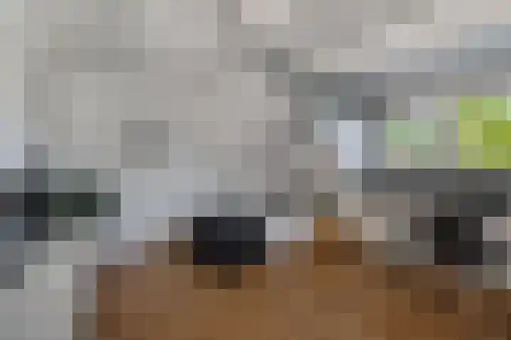 Hofstraat 9 Den Dungen thumbnail 18