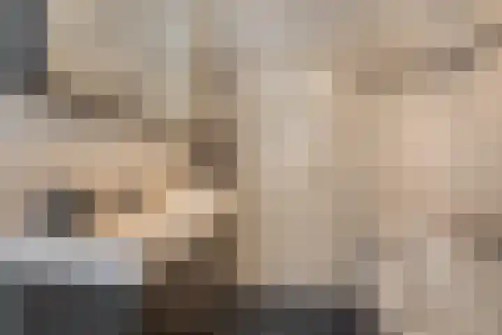 Hofstraat 9 Den Dungen thumbnail 20