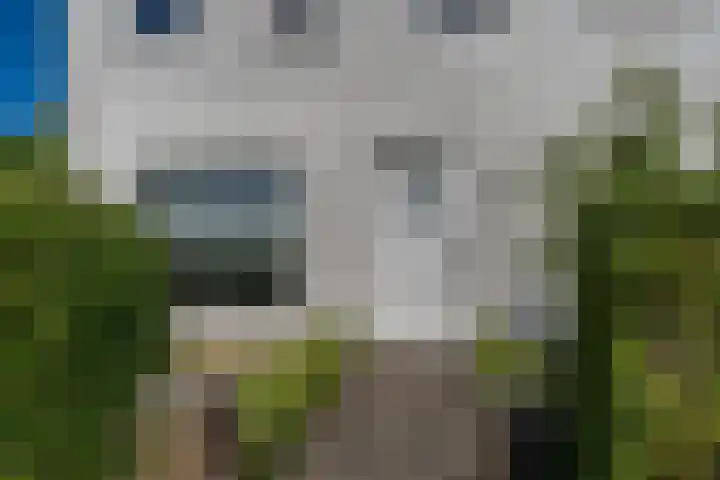 Hofstraat 9 Den Dungen thumbnail 22