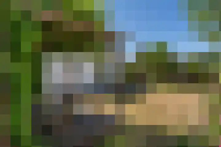 Hofstraat 9 Den Dungen thumbnail 23