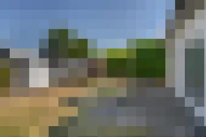 Hofstraat 9 Den Dungen thumbnail 24