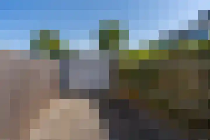 Hofstraat 9 Den Dungen thumbnail 26