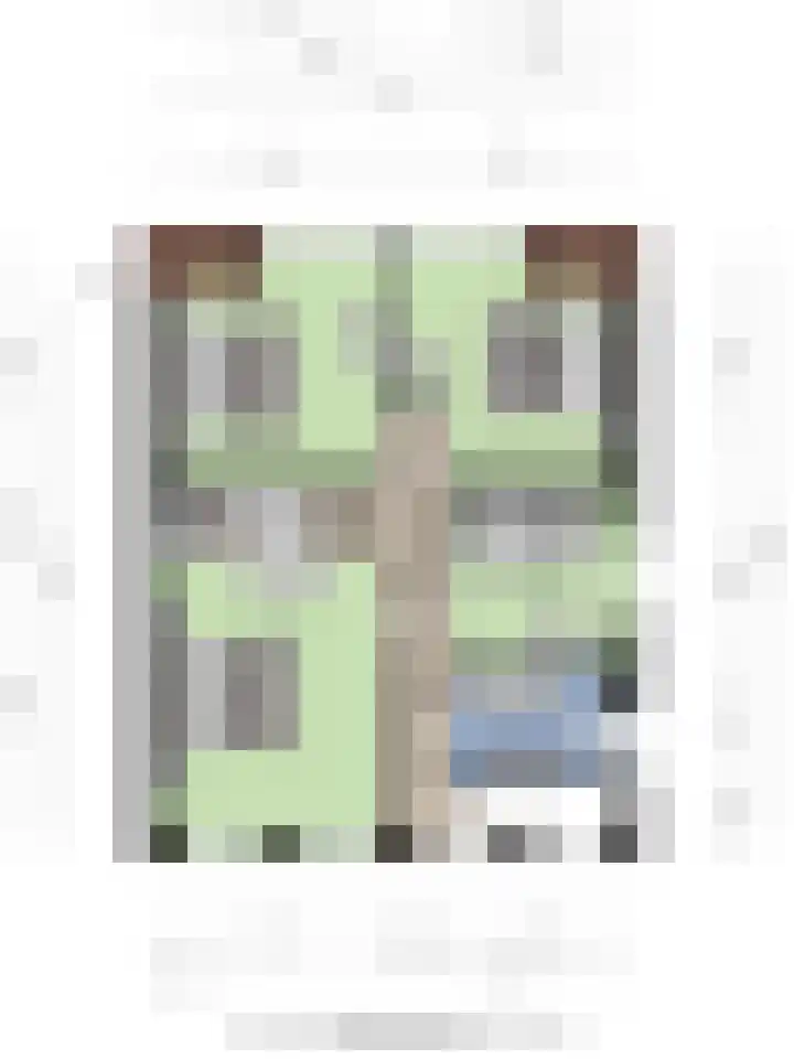 Hofstraat 9 Den Dungen thumbnail 31