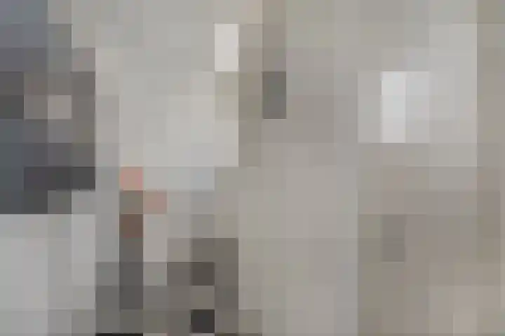 Hofstraat 9 Den Dungen thumbnail 4