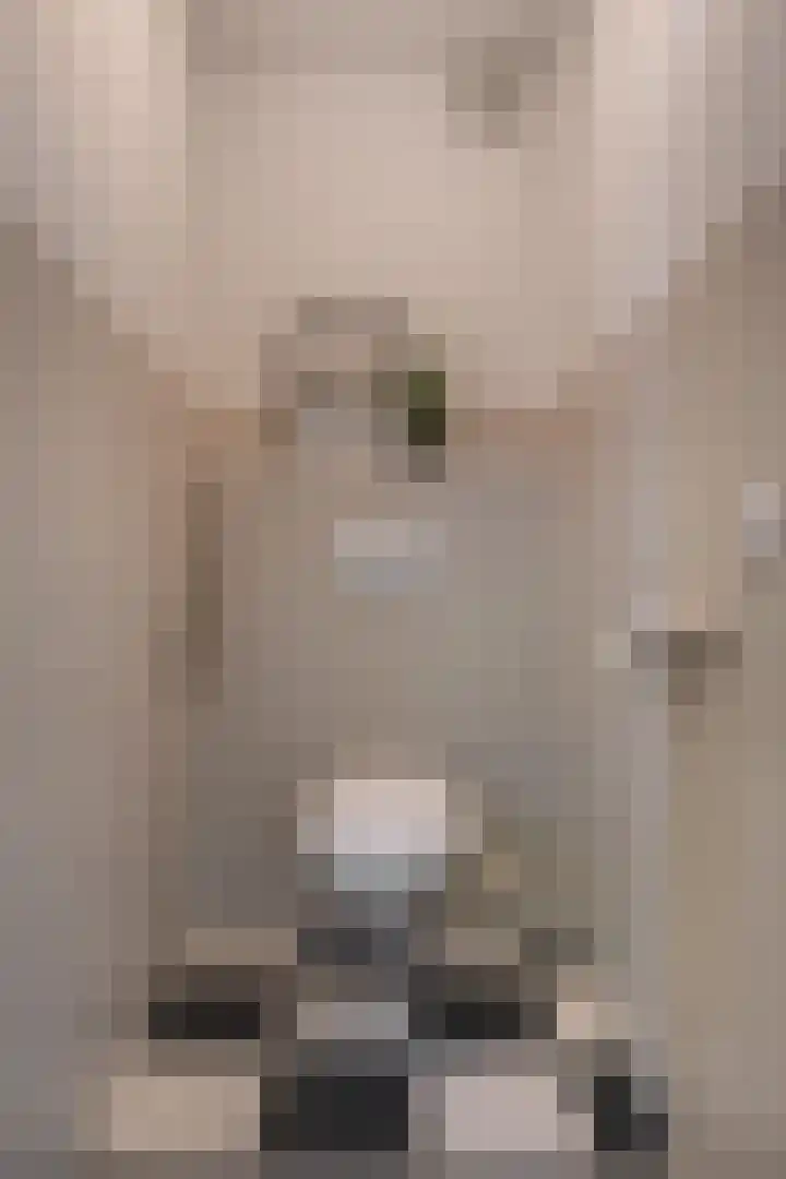 Hofstraat 9 Den Dungen thumbnail 5