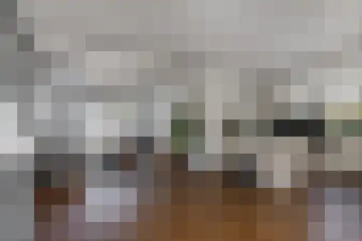 Hofstraat 9 Den Dungen thumbnail 6