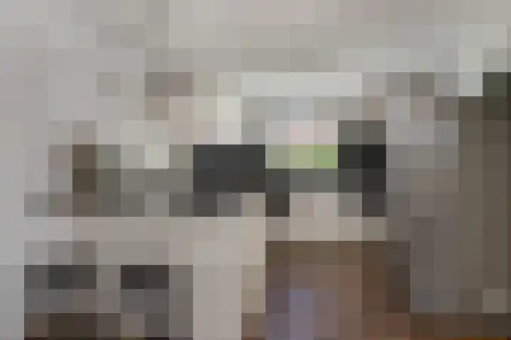 Hofstraat 9 Den Dungen thumbnail 7