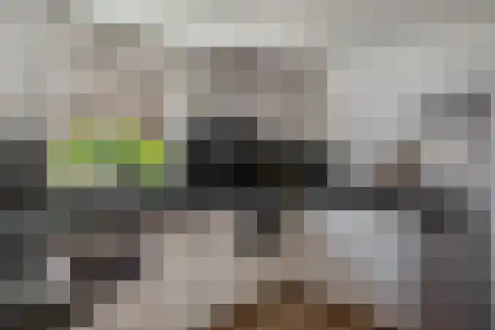 Hofstraat 9 Den Dungen thumbnail 8