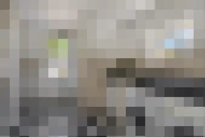 Hofstraat 9 Den Dungen thumbnail 9
