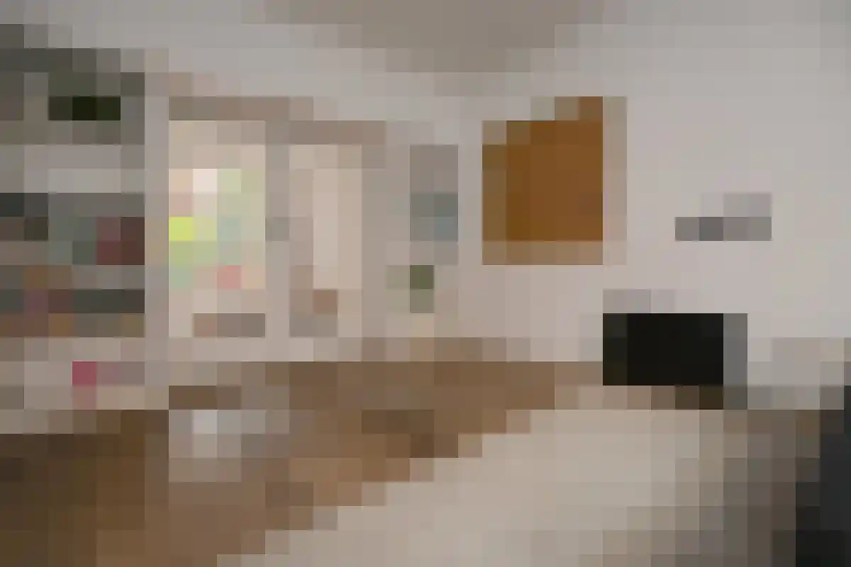 Hofstraat 9 Groningen thumbnail 5