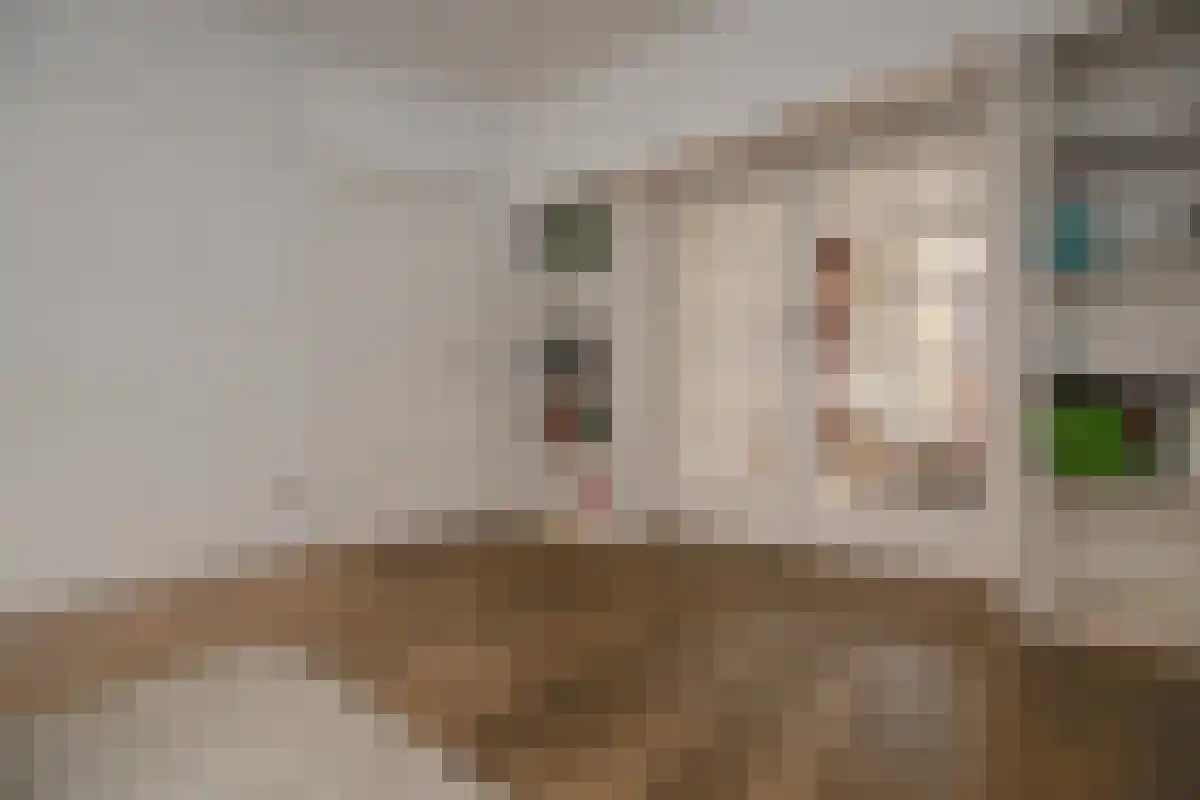 Hofstraat 9 Groningen thumbnail 6