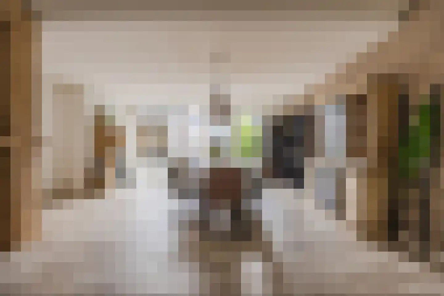 Hofstraat 9 Hoeven thumbnail 20