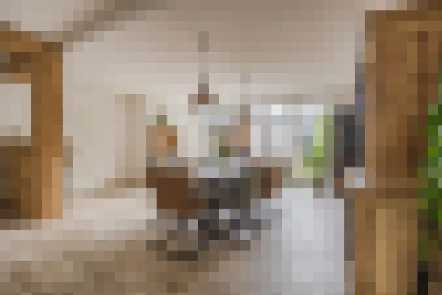 Hofstraat 9 Hoeven thumbnail 22