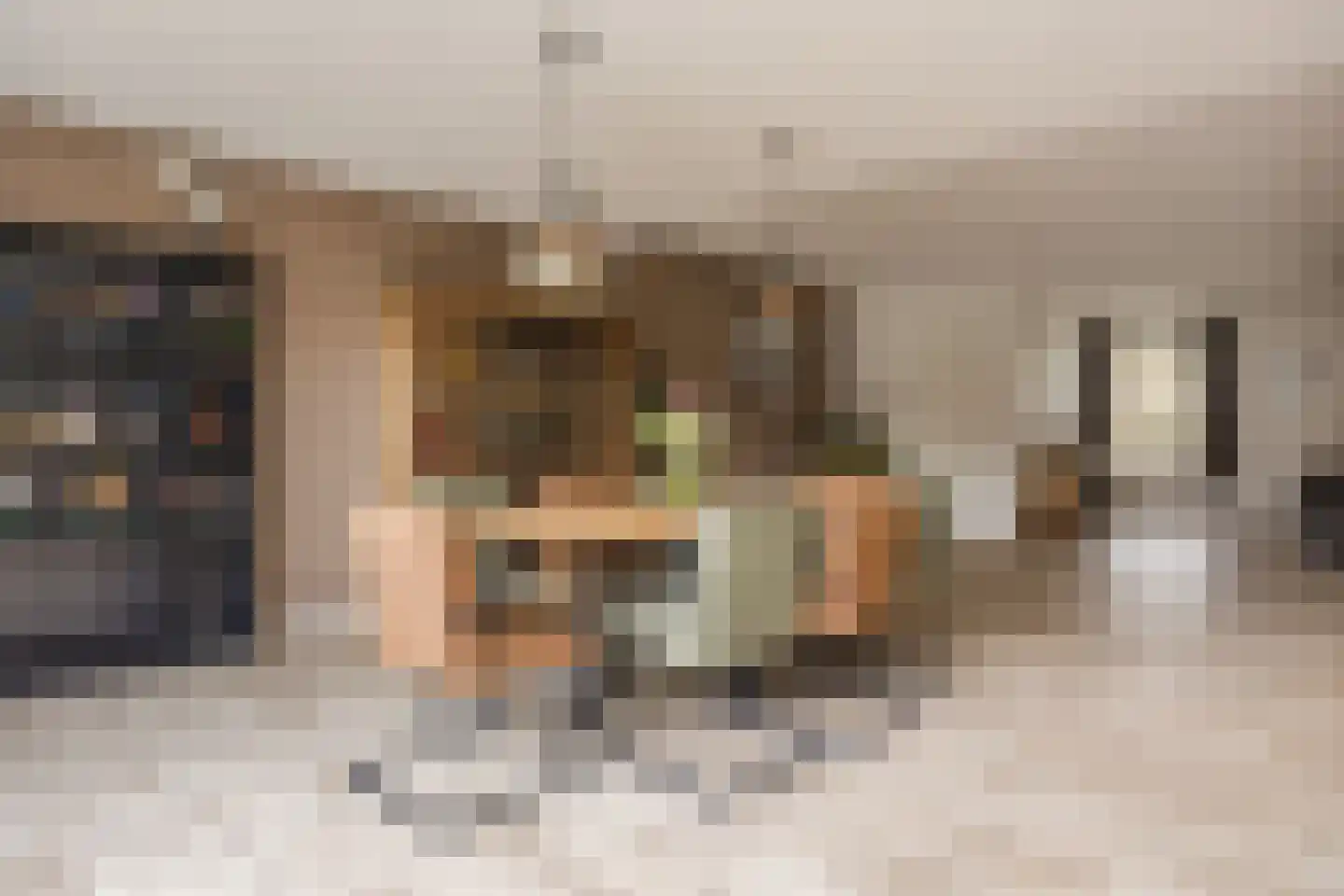 Hofstraat 9 Hoeven thumbnail 25