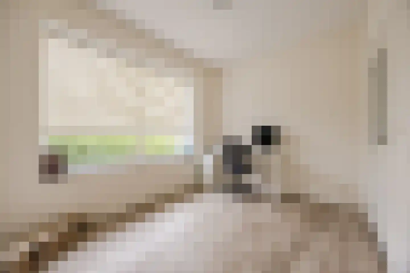 Hofstraat 9 Hoeven thumbnail 31