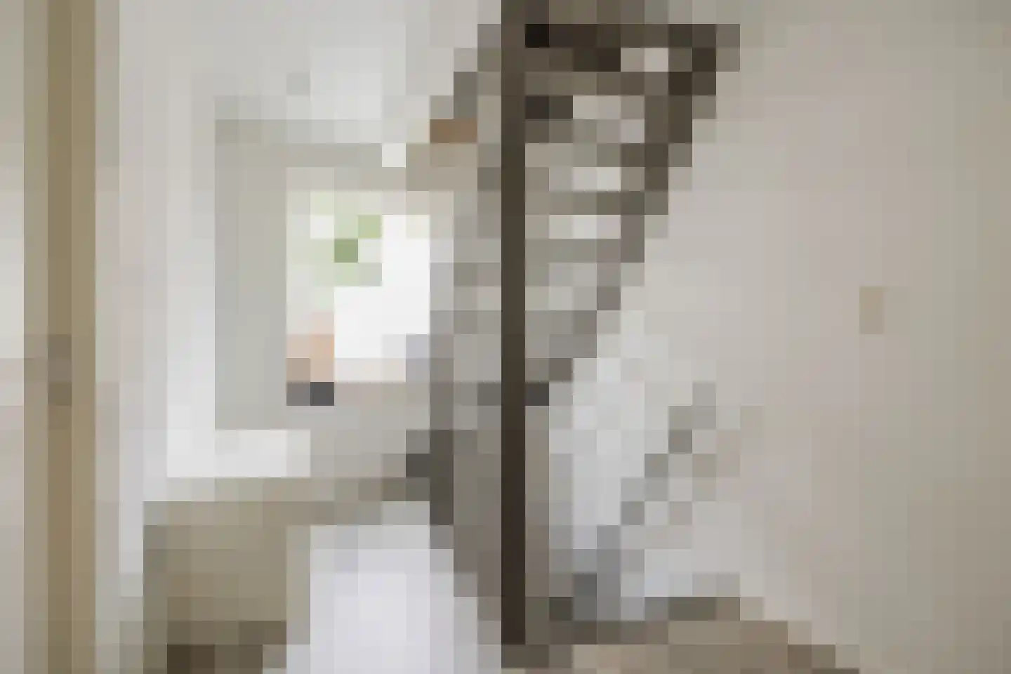 Hofstraat 9 Hoeven thumbnail 36