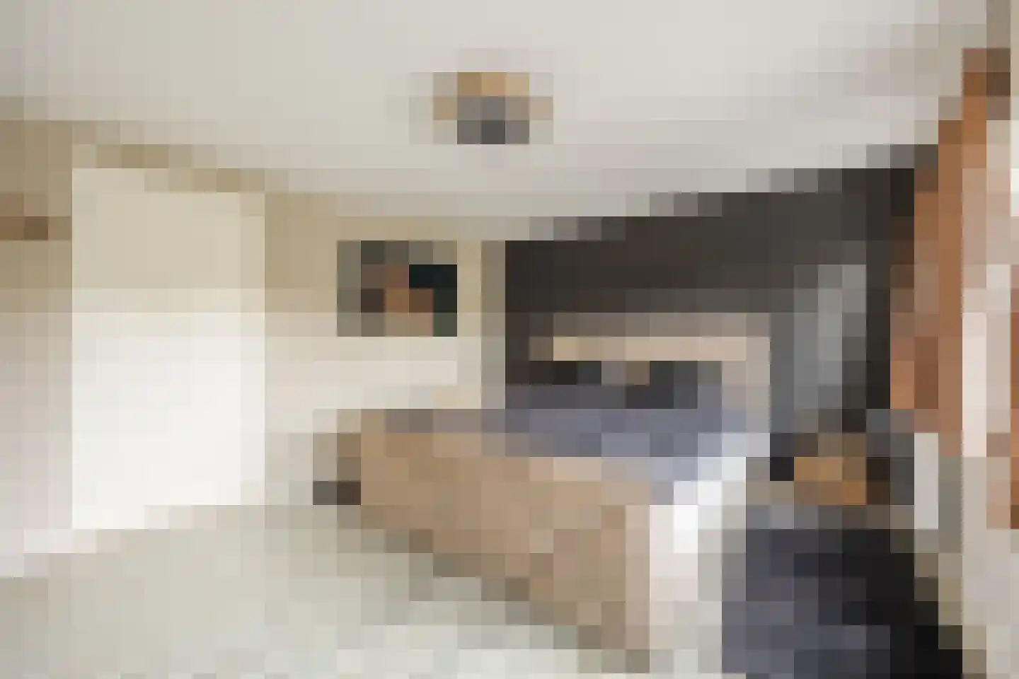 Hofstraat 9 Hoeven thumbnail 38